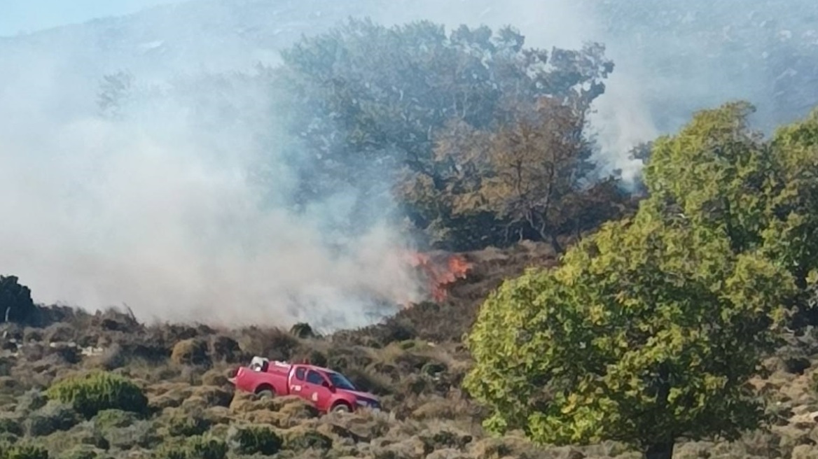 Πυρκαγιά στο Σοφό Ασπροπύργου Αττικής 