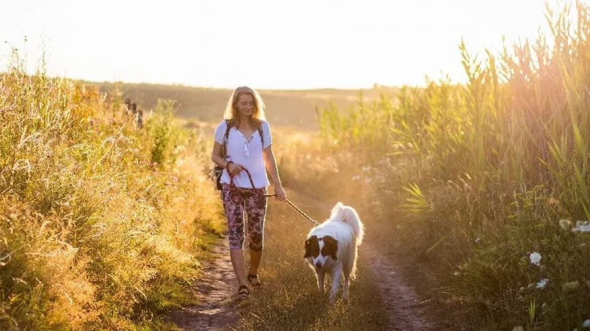Πολλαπλή Σκλήρυνση: «Το καινοτόμο πρόγραμμα που μου άλλαξε τη ζωή»