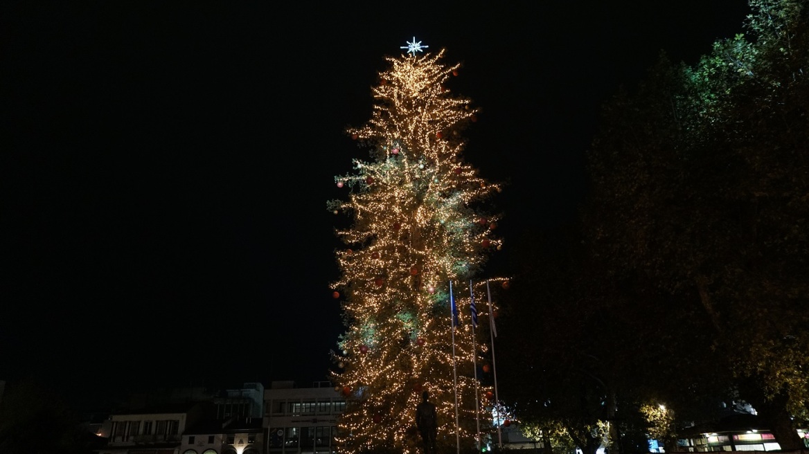 Τρίκαλα: Φωταγωγήθηκε το υψηλότερο φυσικό χριστουγεννιάτικο δέντρο - Δείτε φωτογραφίες