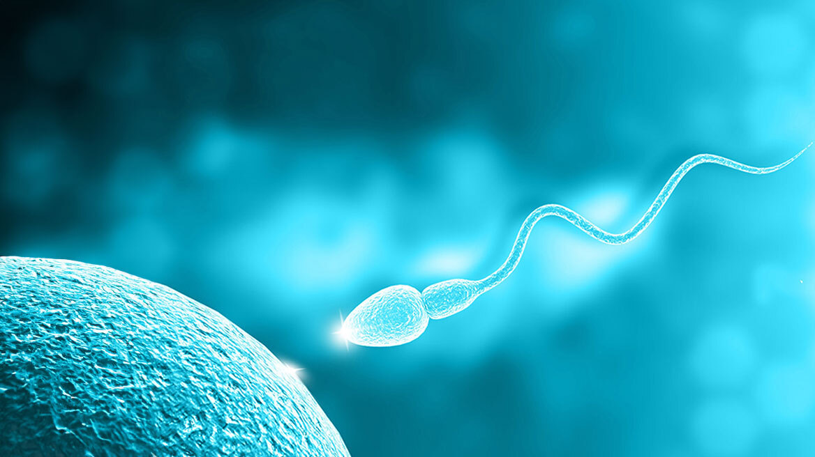 Ο κρίσιμος ρόλος της ανδρικής γονιμότητας στην εξέλιξη της αναπαραγωγής