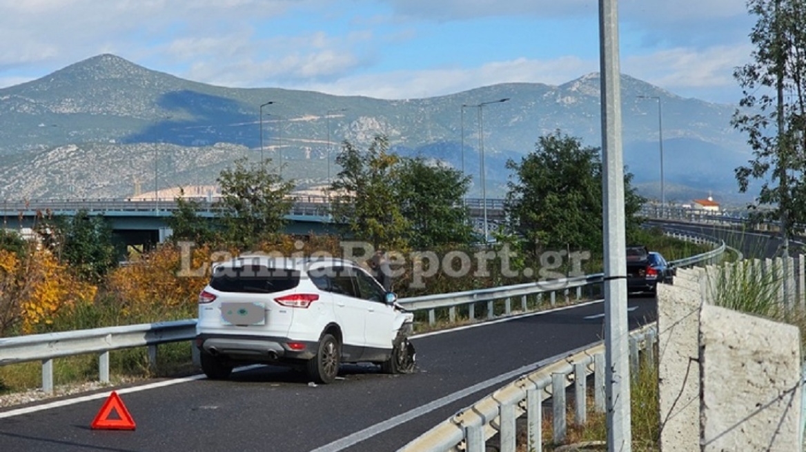 Σκύλος προκάλεσε τροχαίο ατύχημα στην είσοδο της Λαμίας - Δείτε βίντεο