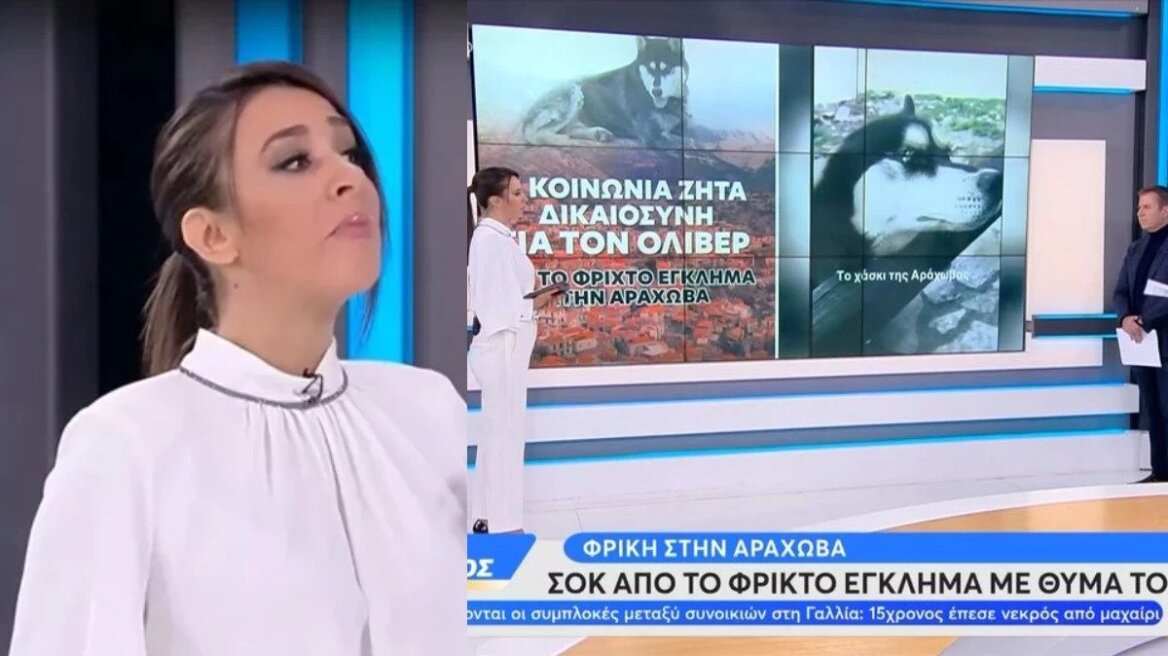 Αράχωβα: Δάκρυσε δημοσιογράφος στο Open μιλώντας για την υπόθεση του χάσκι - «Χίλια συγγνώμη δεν μου έχει ξανασυμβεί αυτό»