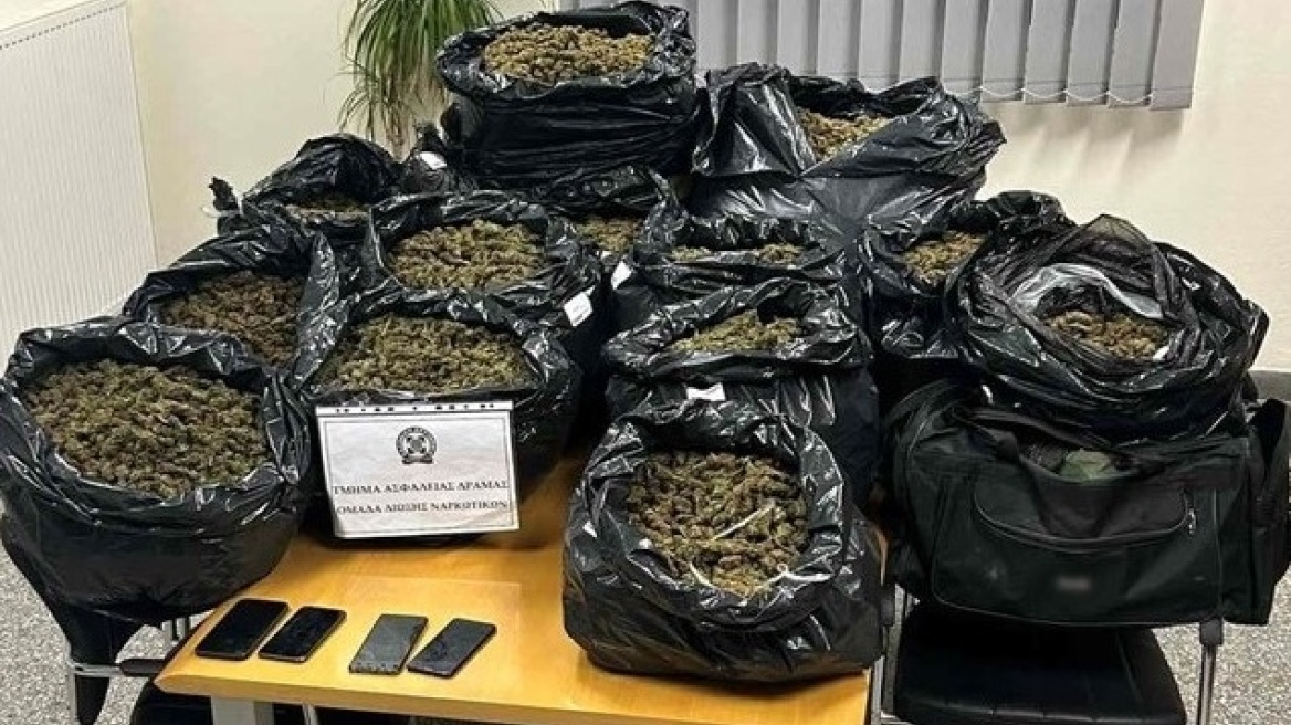 Δράμα: Η Vera της ΕΛΑΣ βρήκε 61 κιλά κάνναβης στο σπίτι δυο αλλοδαπών