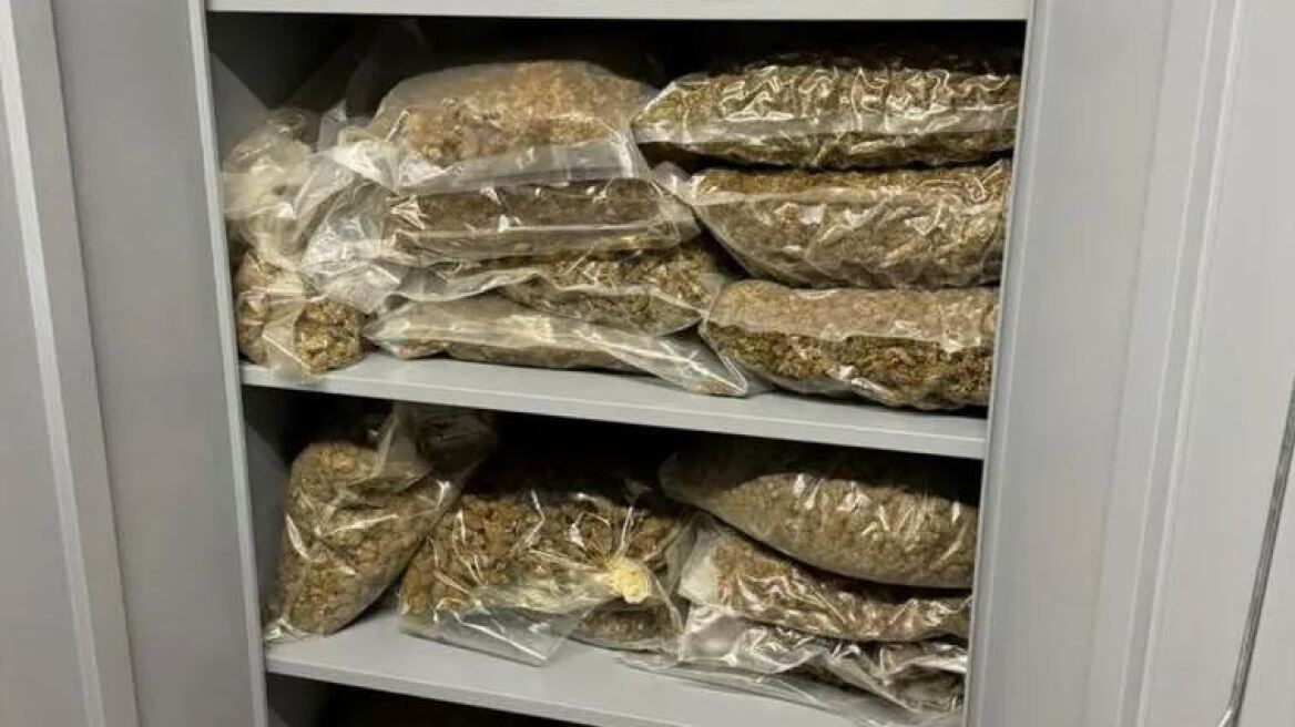 Σπείρα πωλούσε κάνναβη, skunk και ecstasy: Είχαν βγάλει €800.000 - Κατασχέθηκαν 108 κιλά ναρκωτικών