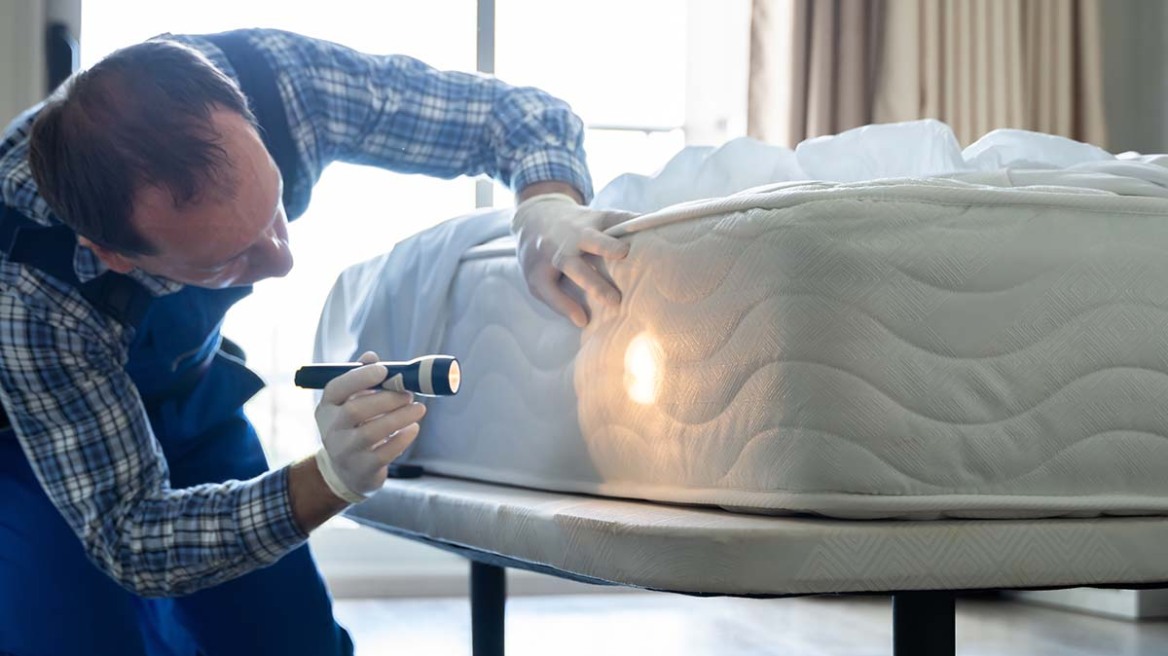 Κοριοί: Πόσο επικίνδυνοι είναι για την υγεία μας – Πώς θα καταλάβετε εάν έχετε τσιμπηθεί