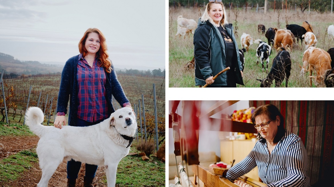 Γυναίκα κτηνοτρόφος από τον Έβρο: «Έχουμε πρόβλημα επιβίωσης»