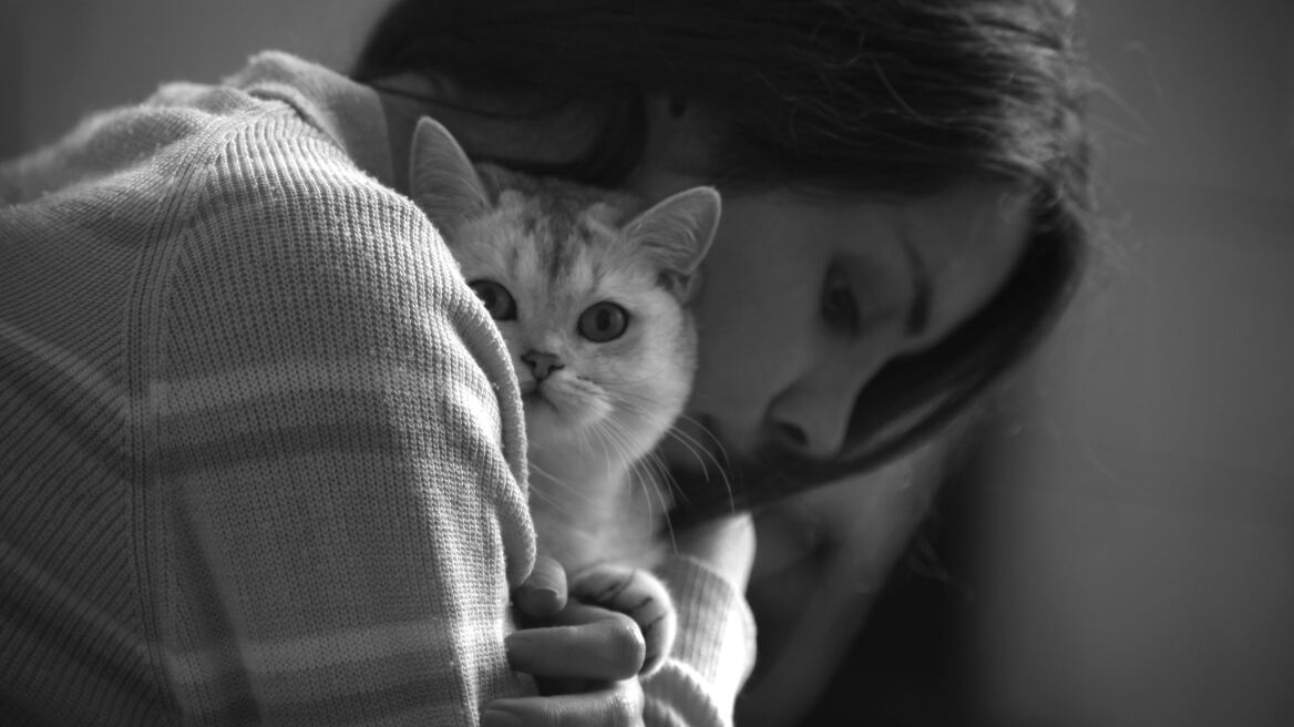 Πώς γνωρίζουν οι γάτες ότι πλησιάζει ο θάνατος ενός ατόμου