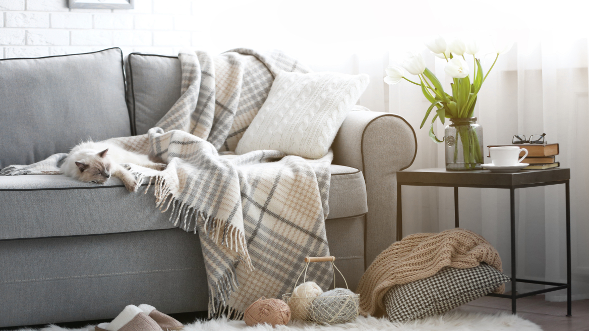 Καθαρό σπίτι με γάτα: 4 χρήσιμες συμβουλές