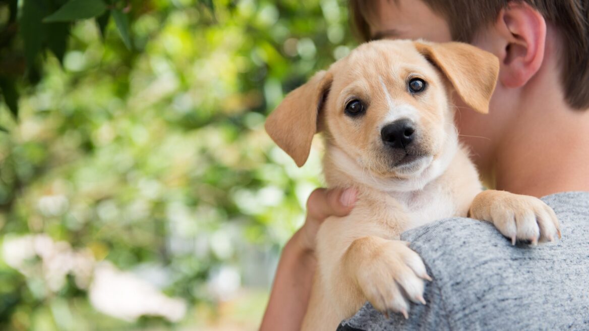 13η Ημέρα Υιοθεσίας των Pet City: Ξεκινώντας τη χρονιά με ένα μήνυμα Αγάπης και Ελπίδας