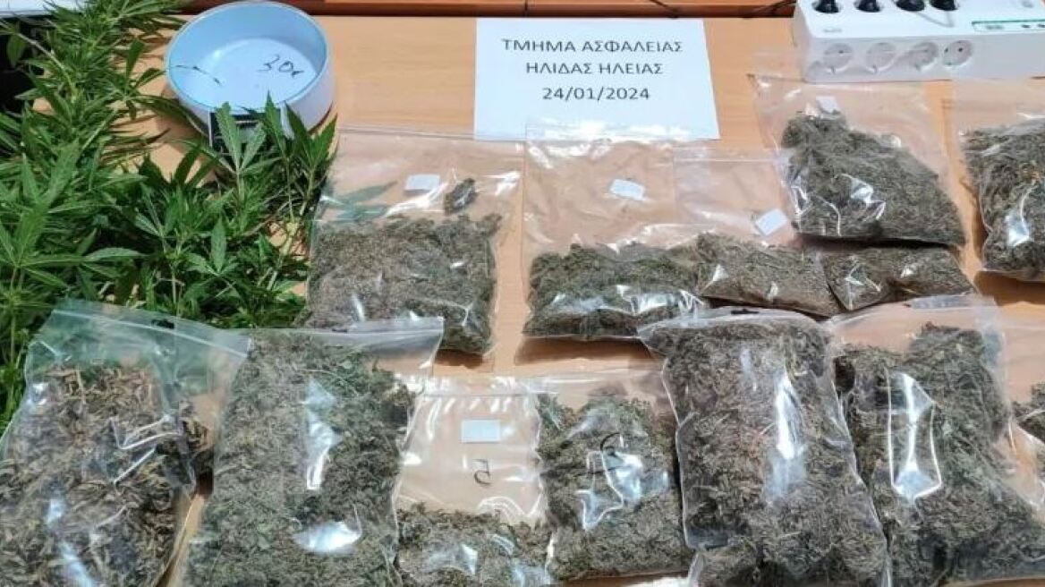 Ηλεία: Συνελήφθη καλλιεργητής κάνναβης με σχεδόν δυο κιλά - Την είχε μοιράσει σε 19 συσκευασίες