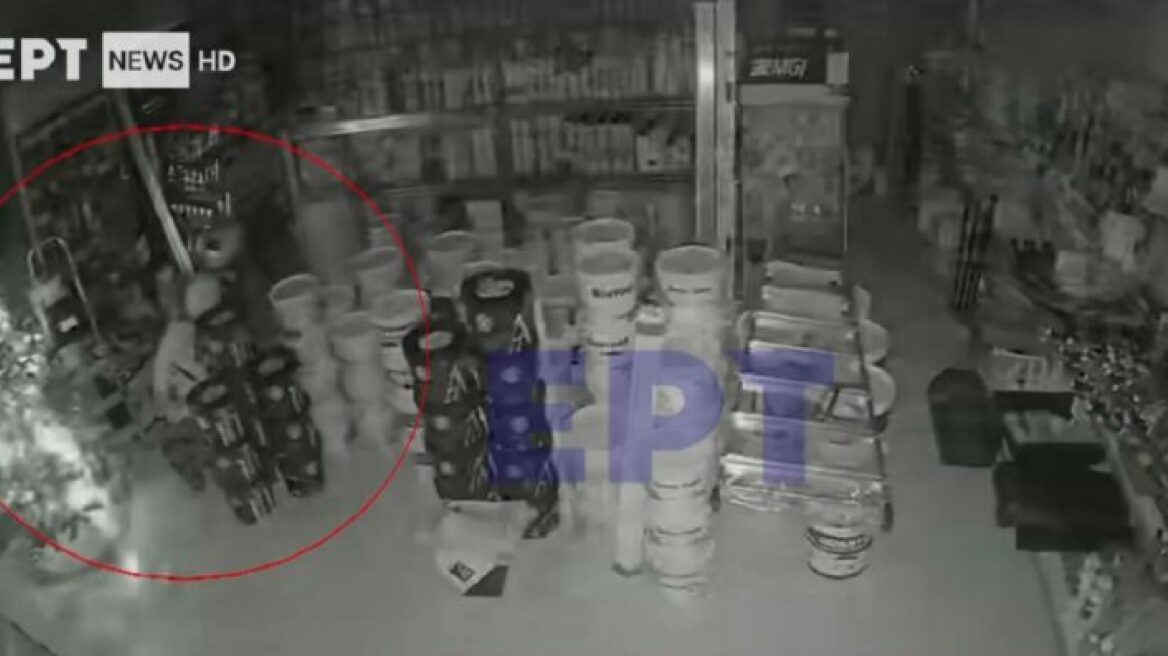 Ωρωπός: Χειροπέδες σε 36χρονο διαρρήκτη που χτυπούσε καταστήματα, εκκλησίες και σχολεία - Δείτε βίντεο