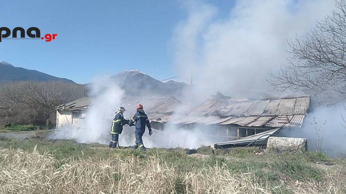 Αρκαδία:  Νεκρός άνδρας σε αποθήκη μετά από φωτιά