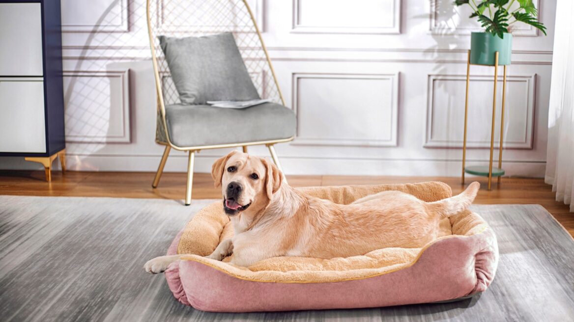 Τα πιο άνετα κρεβατάκια για το κατοικίδιό σας
