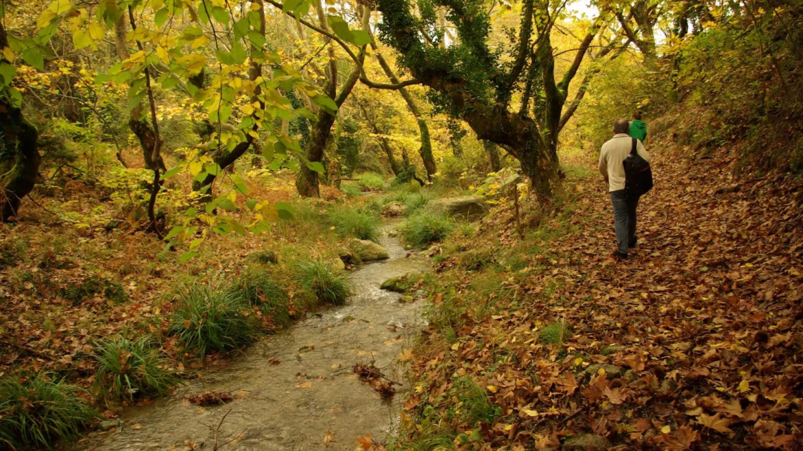 10 χωριά της Λάρισας που αξίζει να επισκεφθείτε -Γιατί ξεχωρίζουν