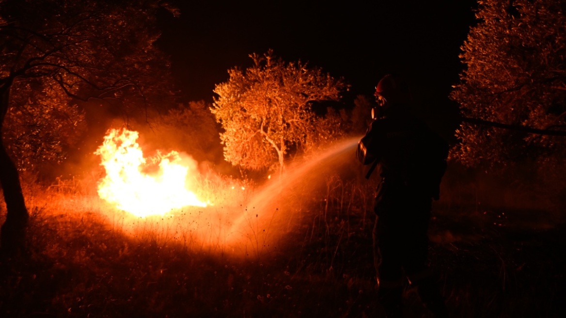Φωτιά στην Εύβοια, καίγεται υδροβιότοπος στα Κανατάδικα