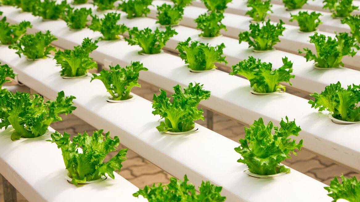 Γιατί κινδυνεύουν από ένα… μαρούλι οι αστροναύτες (pics)