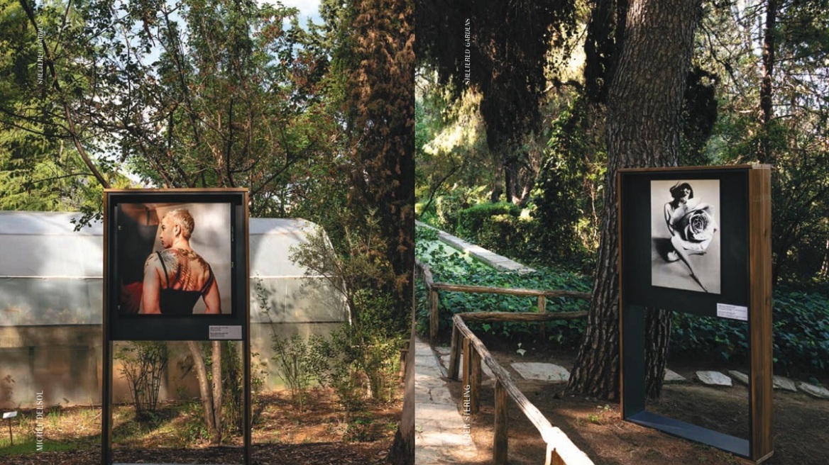 Θυμάστε την περσινή εκδήλωση στο Βοτανικό Κήπο του Διομήδους; Μόλις έγινε βιβλίο, και παρουσιάζεται στο ΕΜΣΤ