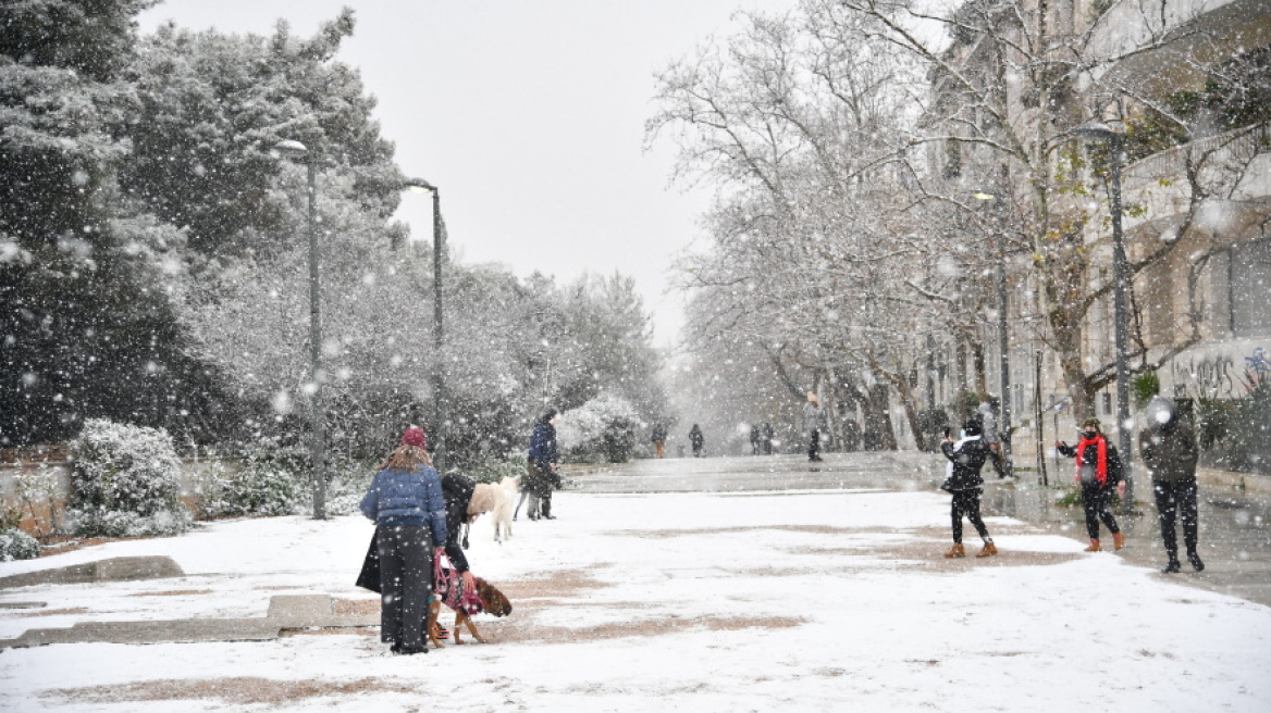 «Όταν ο Μάρτης ήταν γδάρτης»: Τότε που οι πολικές αέριες μάζες είχαν εισβάλει στην Ελλάδα, το 1957 και το 1987