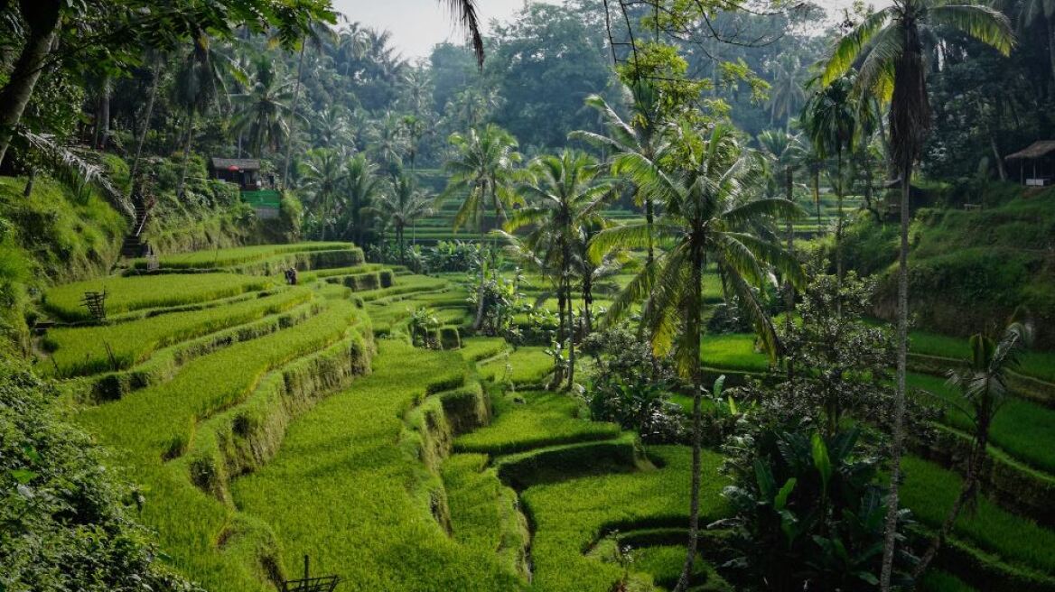 Μπαλί: Δύο τουρίστες έχασαν τη ζωή τους από κατολίσθηση η οποία παρέσυρε τη βίλα τους