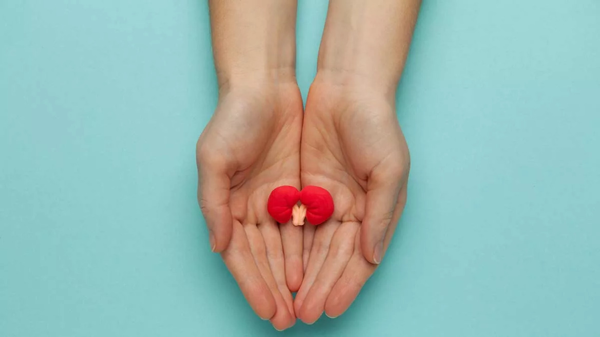 Με προβλήματα στους νεφρούς το 10% του πληθυσμού – 12.000 σε εξωνεφρική κάθαρση και 3.000 οι μεταμοσχευμένοι