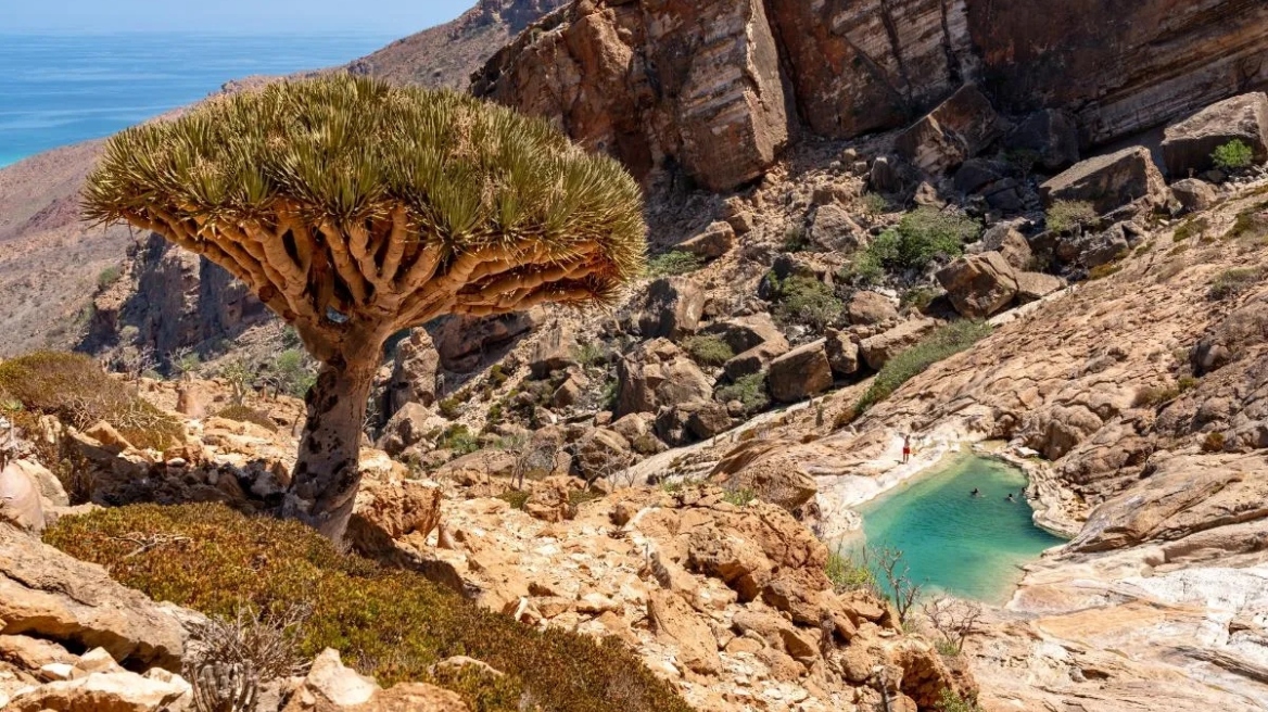 Ταξίδι στη Σοκότρα της Υεμένης -Απόκοσμα τοπία και σπάνια είδη
