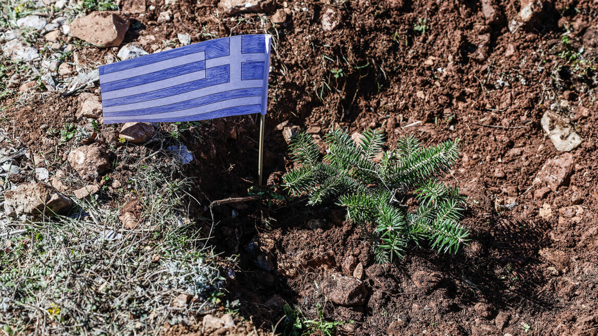 Δενδροφύτευση στα καμένα της Πάρνηθας την Κυριακή, 30 Μαρτίου