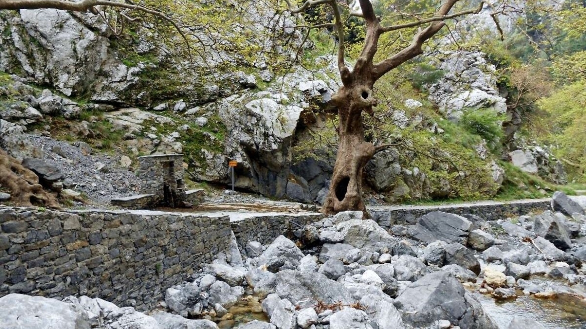 Το Φαράγγι της Αγάλης: Ένα μοναδικό φυσικό τοπίο 1,5 ώρα από την Αθήνα