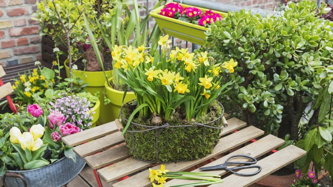 Πώς να δημιουργήσετε τον τέλειο κήπο στο μπαλκόνι σας