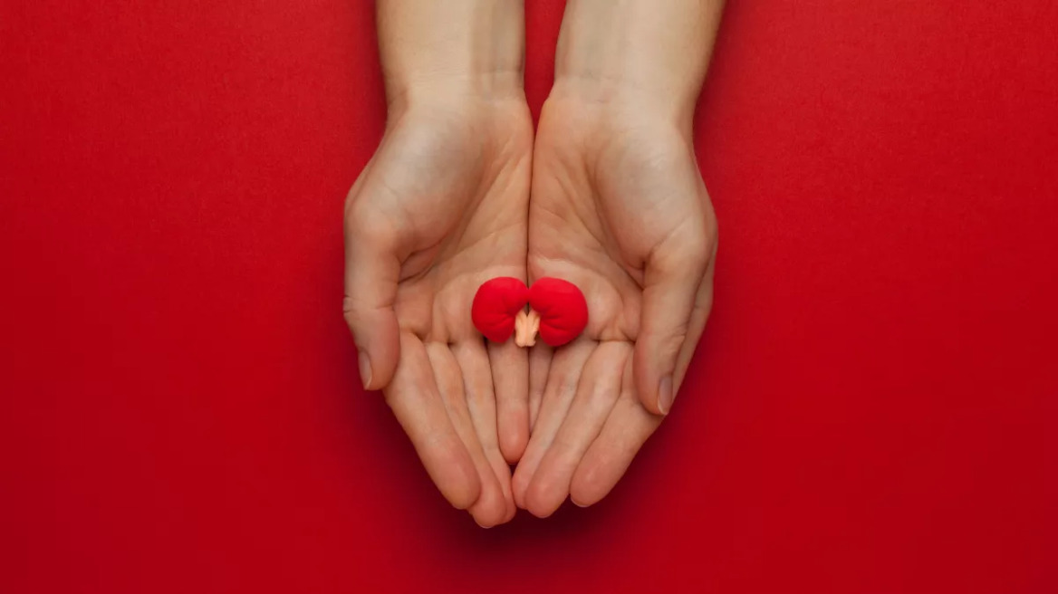 Νεφροί: Πέντε tips για να τους προφυλάξετε – Τα σημάδια που μαρτυρούν πρόβλημα