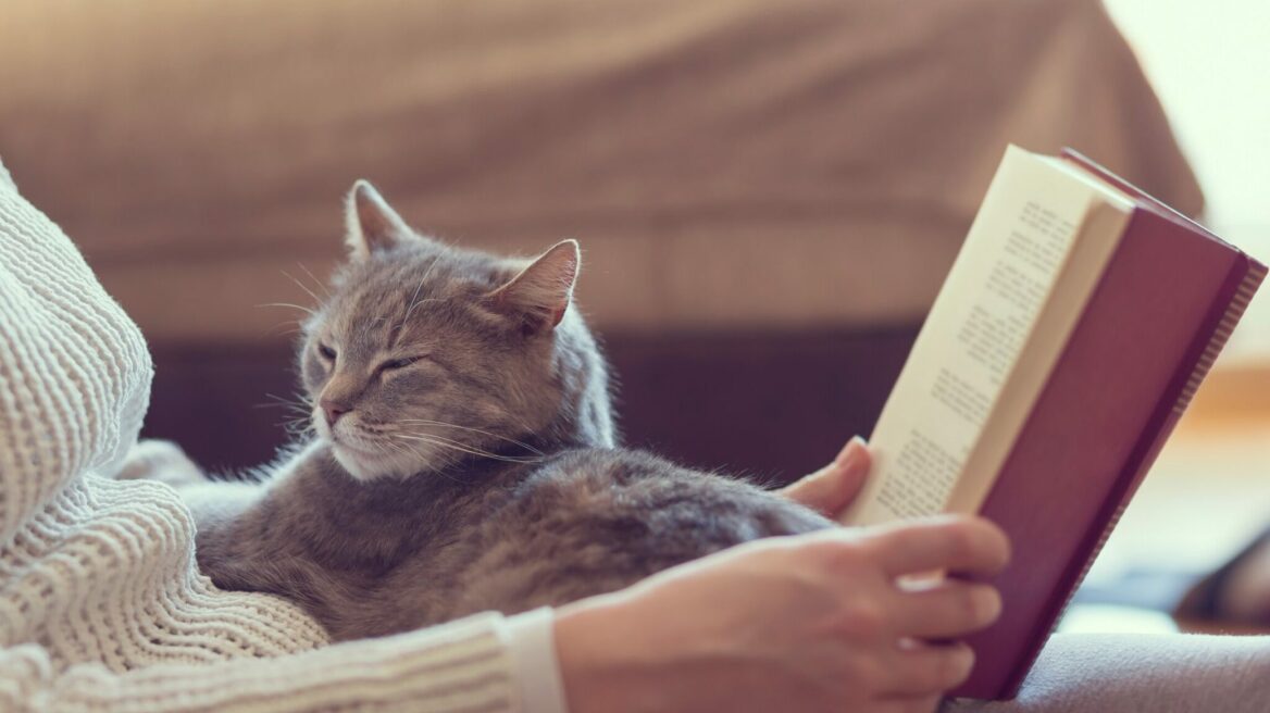 Μας διαλέγουν οι γάτες ή τις διαλέγουμε εμείς; Μάθετε περισσότερα για τον δεσμό ανάμεσα μας