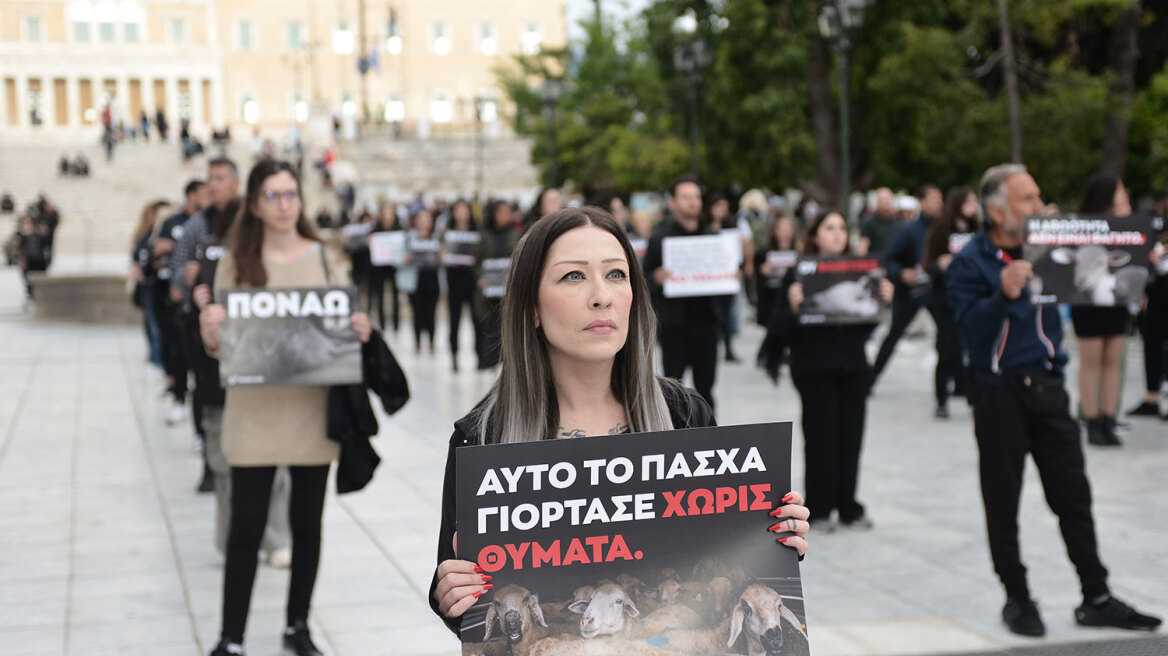 Αυτό το Πάσχα γιόρτασε χωρίς θύματα, είπαν δεκάδες vegan στο Σύνταγμα - Δείτε βίντεο και φωτογραφίες