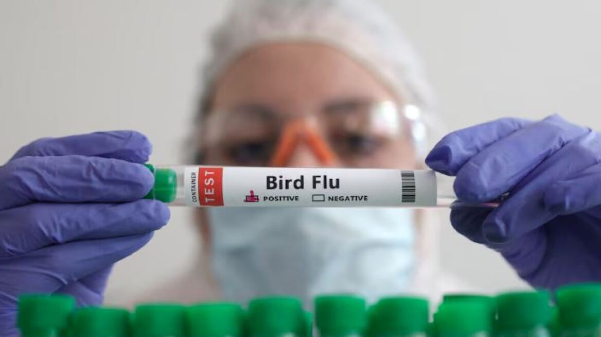 Μαγιορκίνης: Πώς προσβάλλει τον οργανισμό η γρίπη των πτηνών και πόσο πιθανό είναι να προκαλέσει πανδημία