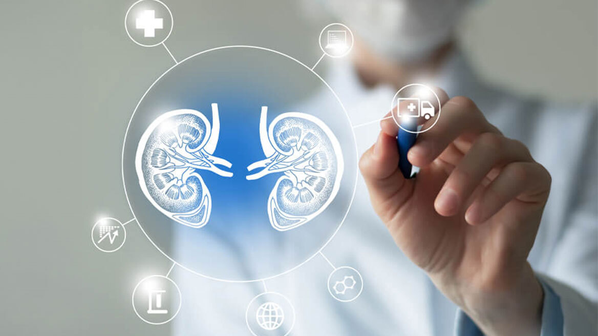 Πώς δημιουργούνται πέτρες στα νεφρά και πώς αντιμετωπίζονται;