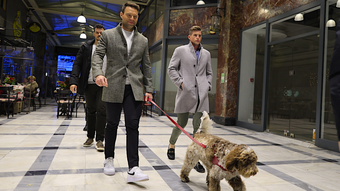 Ιδού πως o Κασσελάκης θα έχει το σκυλάκι του... Βασιλιά