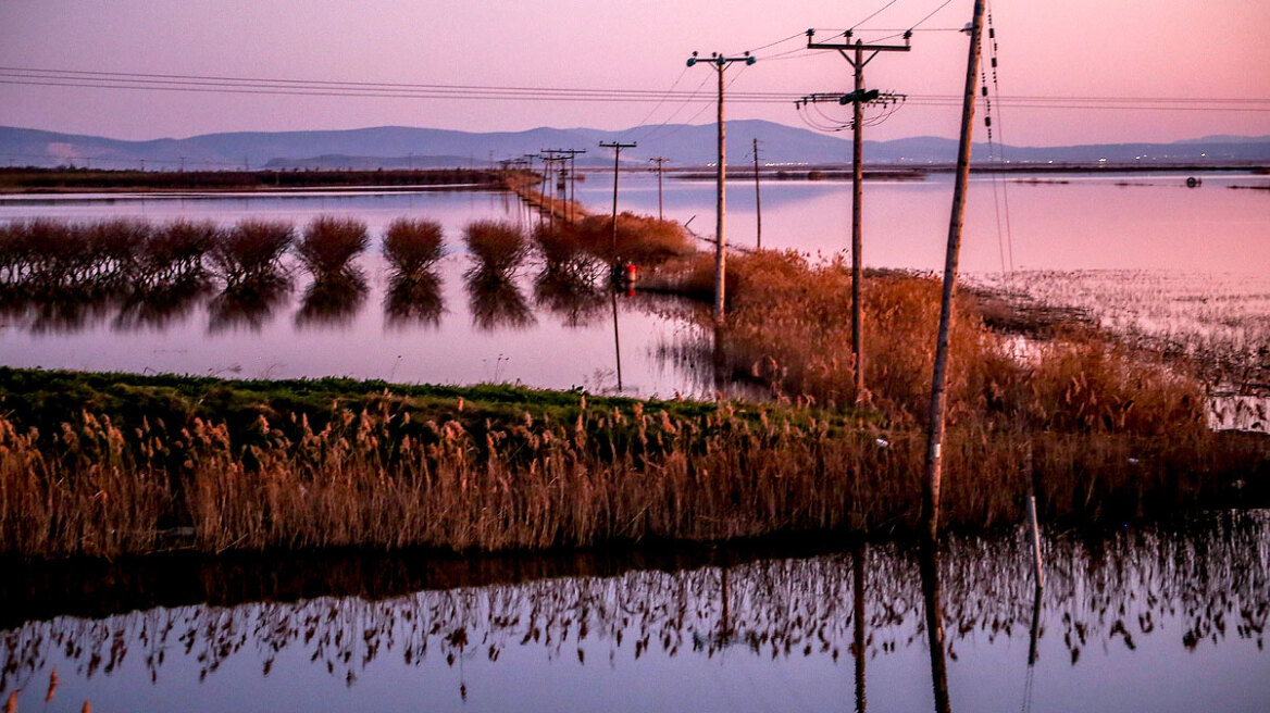 Θεσσαλία: Πώς ο μηχανισμός της κλιματικής κρίσης «σκοτώνει» τις φετινές  καλλιέργειες