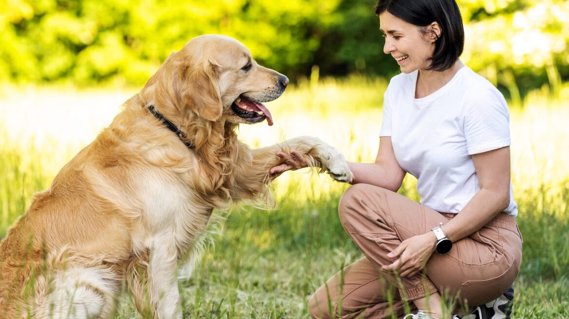 Πώς να διδάξετε τον σκύλο σας να δίνει το πόδι του
