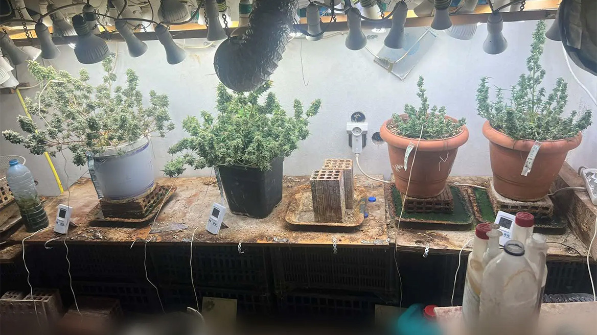 Έστησε εργαστήριο για καλλιέργεια κάνναβης στο σπίτι του στη Ρόδο