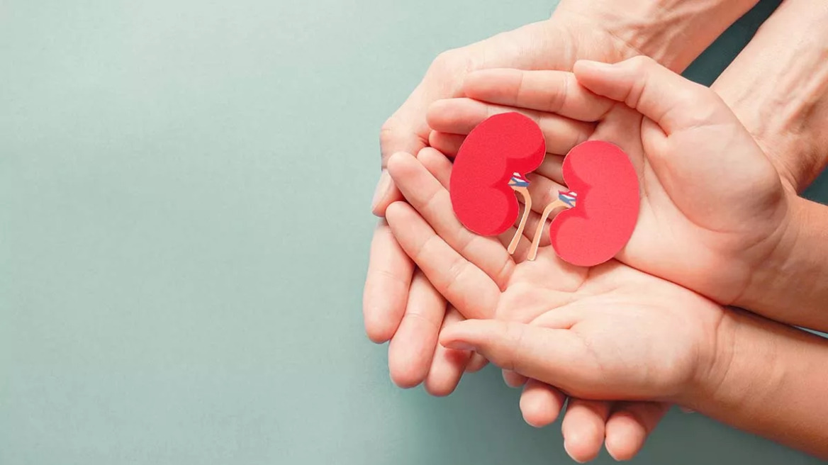 Δωρεά οργάνων – Μεταμοσχεύσεις: Οι 1.522 δότες και το μακρύ ταξίδι ζωής για τους λήπτες