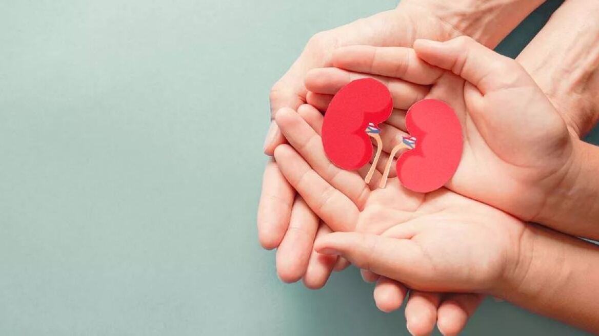 Δωρεά οργάνων - Μεταμοσχεύσεις: Οι 1.522 δότες και το μακρύ ταξίδι ζωής για τους λήπτες