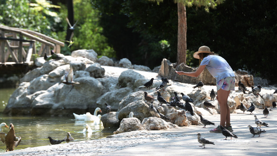Καλοκαιρινός καιρός με «διαλείμματα» καταιγίδων στα βόρεια - Πώς διαμορφώνεται το τριήμερο του Αγίου Πνεύματος
