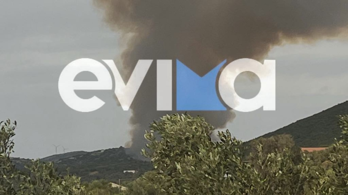 Εύβοια: Φωτιά στην περιοχή του Αλμυροποτάμου - Οριοθετήθηκε έπειτα από πολύωρη μάχη
