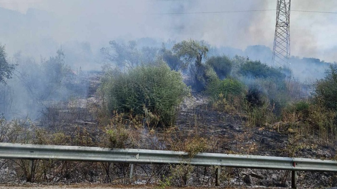 Φωτιά σε δασική έκταση στην Αμφιλοχία - Σηκώθηκαν εναέρια για την κατάσβεση