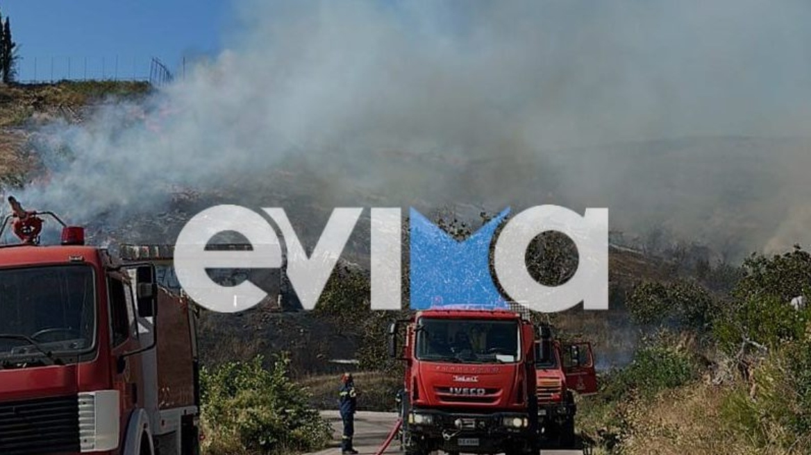 Εύβοια: Φωτιά σε γεωργική έκταση στο Δήμο Διρφύων Μεσσαπίων - Τέθηκε υπό μερικό έλεγχο