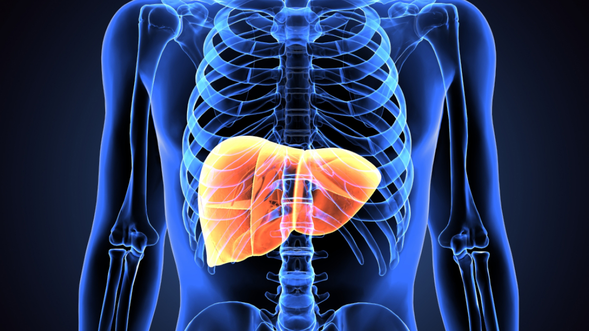 Ο ζωτικός σύνδεσμος μεταξύ ενός υγιούς ήπατος και γερών οστών