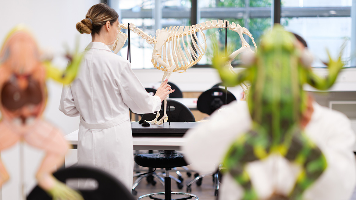 Ανοίγει τις πύλες της η υπερσύγχρονη  Κτηνιατρική Σχολή του Ευρωπαϊκού Πανεπιστήμιου Κύπρου