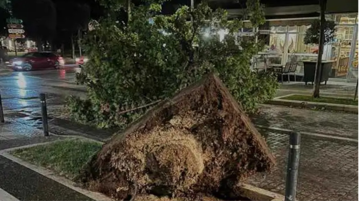Δυνατό μπουρίνι στη Βέροια «ξήλωσε» δέντρα και κολώνες ρεύματος - Στο σκοτάδι πολλές περιοχές της πόλης 