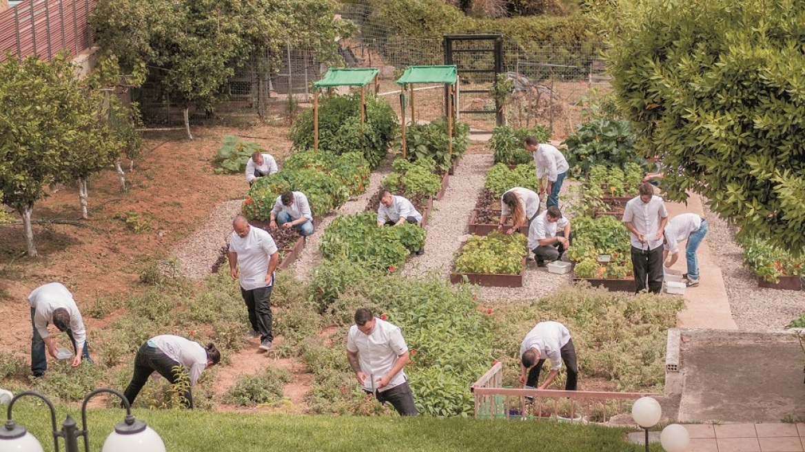 Πώς να φτιάξετε το δικό σας περιβόλι στην αυλή ή τη βεράντα σας