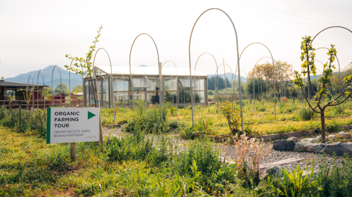 Ένα αγρόκτημα ωδή στην πλούσια γη της Αρκαδίας