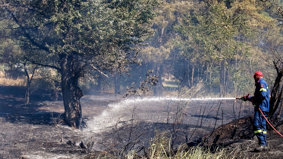 Πολύ υψηλός κίνδυνος πυρκαγιάς σε τέσσερις περιφέρειες την Τετάρτη