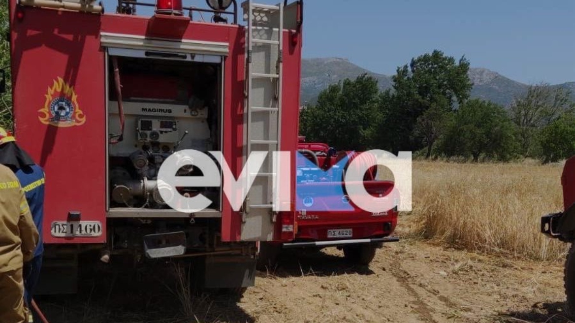 Εύβοια: Φωτιά σε δασική περιοχή